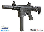 點一下即可放大預覽 -- SRC HAWK-CS AEG電動 電子版機 衝鋒槍